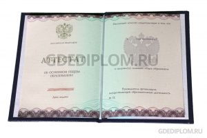 купить аттестат за 9 класс 2014-2025 года