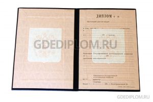 диплом нпо 1995-2006