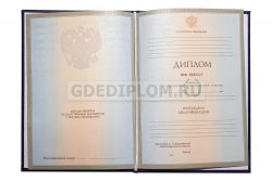 диплом менеджера вуз 2004-2009