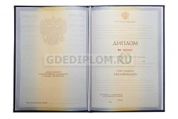 диплом менеджера вуз 2010-2011